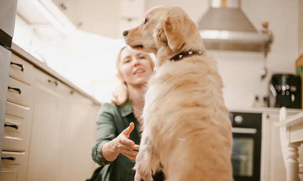 «Двойняшек вынесли сразу. Все, берем!» Это же не магазин — решили Мария и Дмитрий
«Двойняшек вынесли сразу. Все, берем!» Это же не магазин — решили Мария и Дмитрий