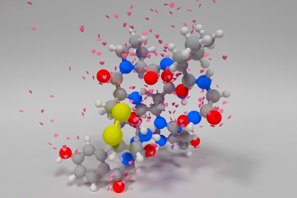 Окситоцин: темная сторона силы Окситоцин: темная сторона силы