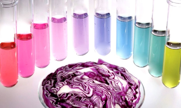 Головоломки, гирлянда Мёбиуса и химический опыт. Как провести для детей научную вечеринку на каникулах
Головоломки, гирлянда Мёбиуса и химический опыт. Как провести для детей научную вечеринку на каникулах