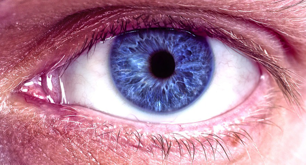 Кайф во взгляде. Долгий зрительный контакт может вызывать галлюцинации Кайф во взгляде. Долгий зрительный контакт может вызывать галлюцинации