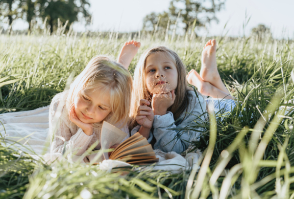 Три стратегии соперничества братьев и сестер, и что с этим делать родителям Три стратегии соперничества братьев и сестер, и что с этим делать родителям