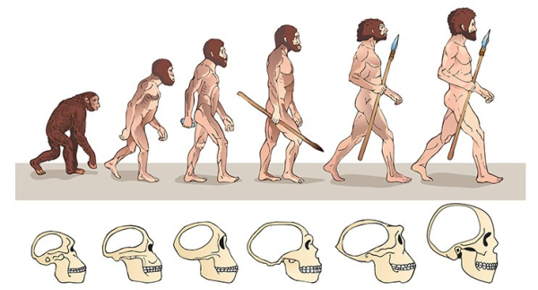Химия мозга – ключ к человечности Химия мозга – ключ к человечности