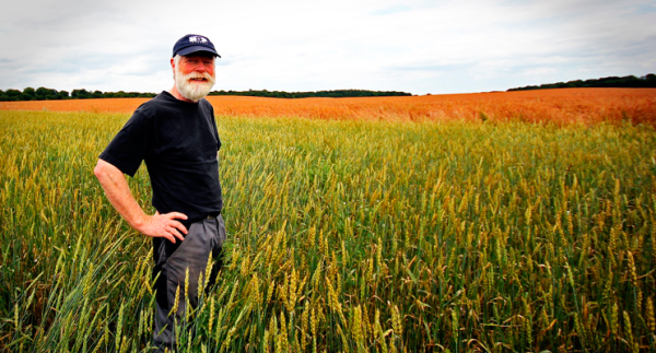 Счастье осталось в саванне