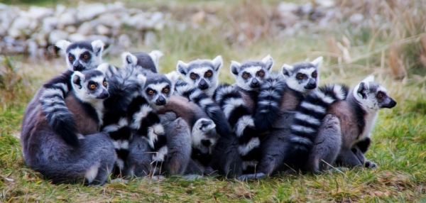 Половое неравенство. Найдите три отличия Половое неравенство. Найдите три отличия