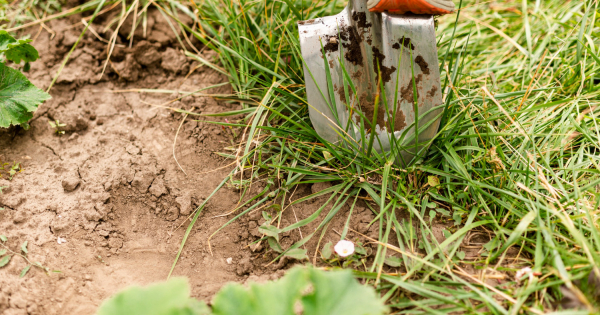 Когда жизнь интереснее вымысла Когда жизнь интереснее вымысла