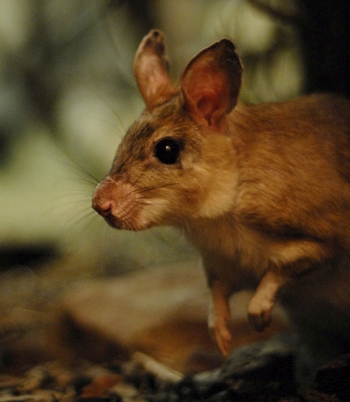 «Блеск и нищета» ревности «Блеск и нищета» ревности