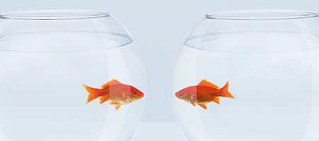 Мозг предпочитает равных Мозг предпочитает равных