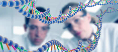 «Шизофренические» клетки помогут лечить хозяев «Шизофренические» клетки помогут лечить хозяев