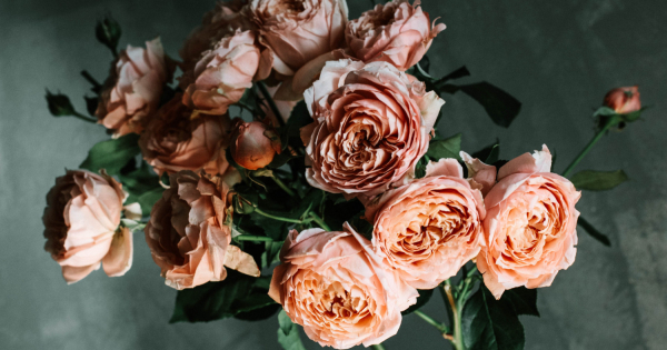 Когда подарки стали полем битвы Когда подарки стали полем битвы