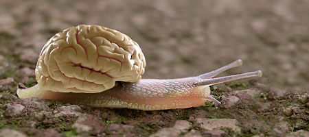 Полный контроль над мыслями Полный контроль над мыслями