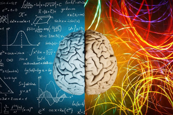 Вино — лекарство от деменции Вино — лекарство от деменции