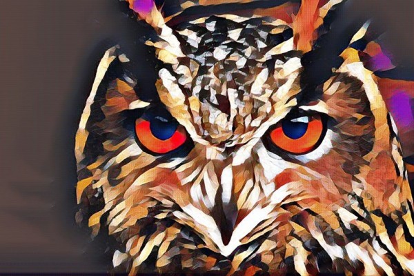 «Совы» более сообразительны, чем «жаворонки» «Совы» более сообразительны, чем «жаворонки»