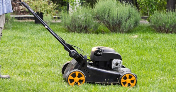 Сделал гадость &mdash; сердцу в радость. Руководство для начинающих соседей