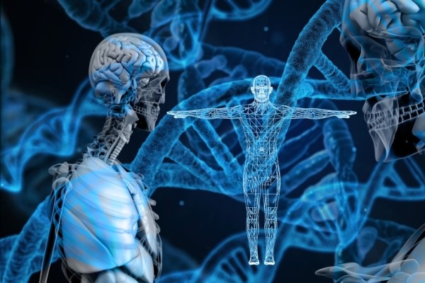 ДНК – не приговор. Удивительная связь между вами и вашими генами ДНК – не приговор. Удивительная связь между вами и вашими генами