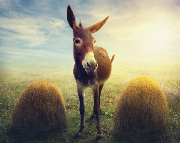 Почему так сложно сделать моральный выбор? Почему так сложно сделать моральный выбор?