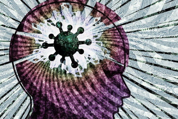 Действительно ли коронавирус ухудшает когнитивные способности? Действительно ли коронавирус ухудшает когнитивные способности?