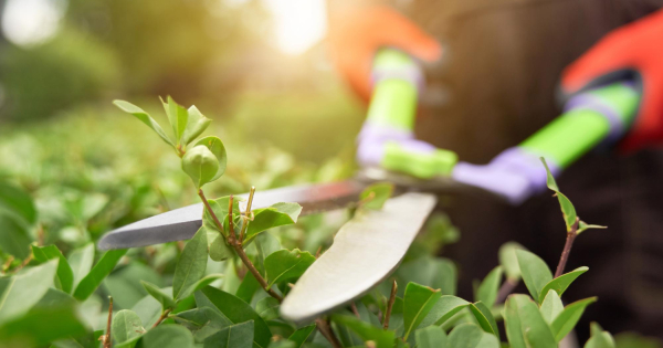 Бабуля с задатками трактора Бабуля с задатками трактора