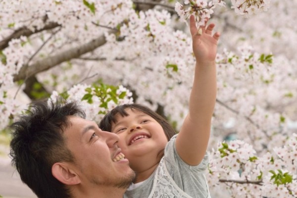 В Японии развито искусство распознавания «ненастоящего» смеха В Японии развито искусство распознавания «ненастоящего» смеха