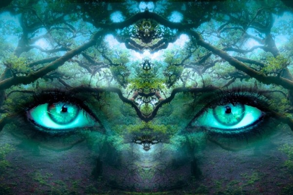 Как осмысленность продлевает жизнь