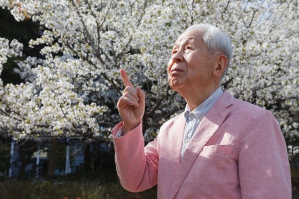 Куда исчезают долгожители? Куда исчезают долгожители?