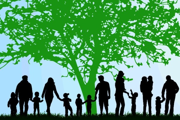 Почему ушел из жизни драматург Н. Я. Соловьев? О повторяющихся семейных сценариях Почему ушел из жизни драматург Н. Я. Соловьев? О повторяющихся семейных сценариях