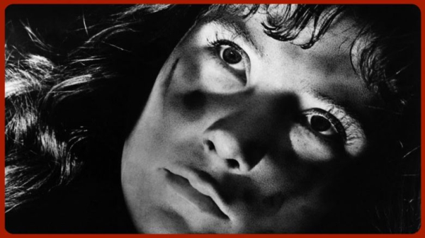 Как работает мозг кинозрителя