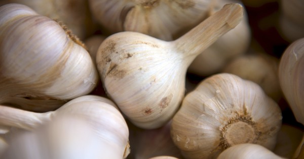 Подгорает от огородников Подгорает от огородников