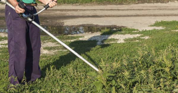 Первые сто тысяч, которые я заработал Первые сто тысяч, которые я заработал